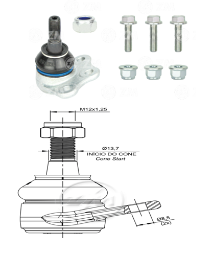 ROTULA INF FIAT DOBLO FIORINO GRAND SIENA MOBI PALIO SIENA STRADA UNO RP:M12-1 25 DM:Ø8 5 TP: 87N.M ETC:33N.M